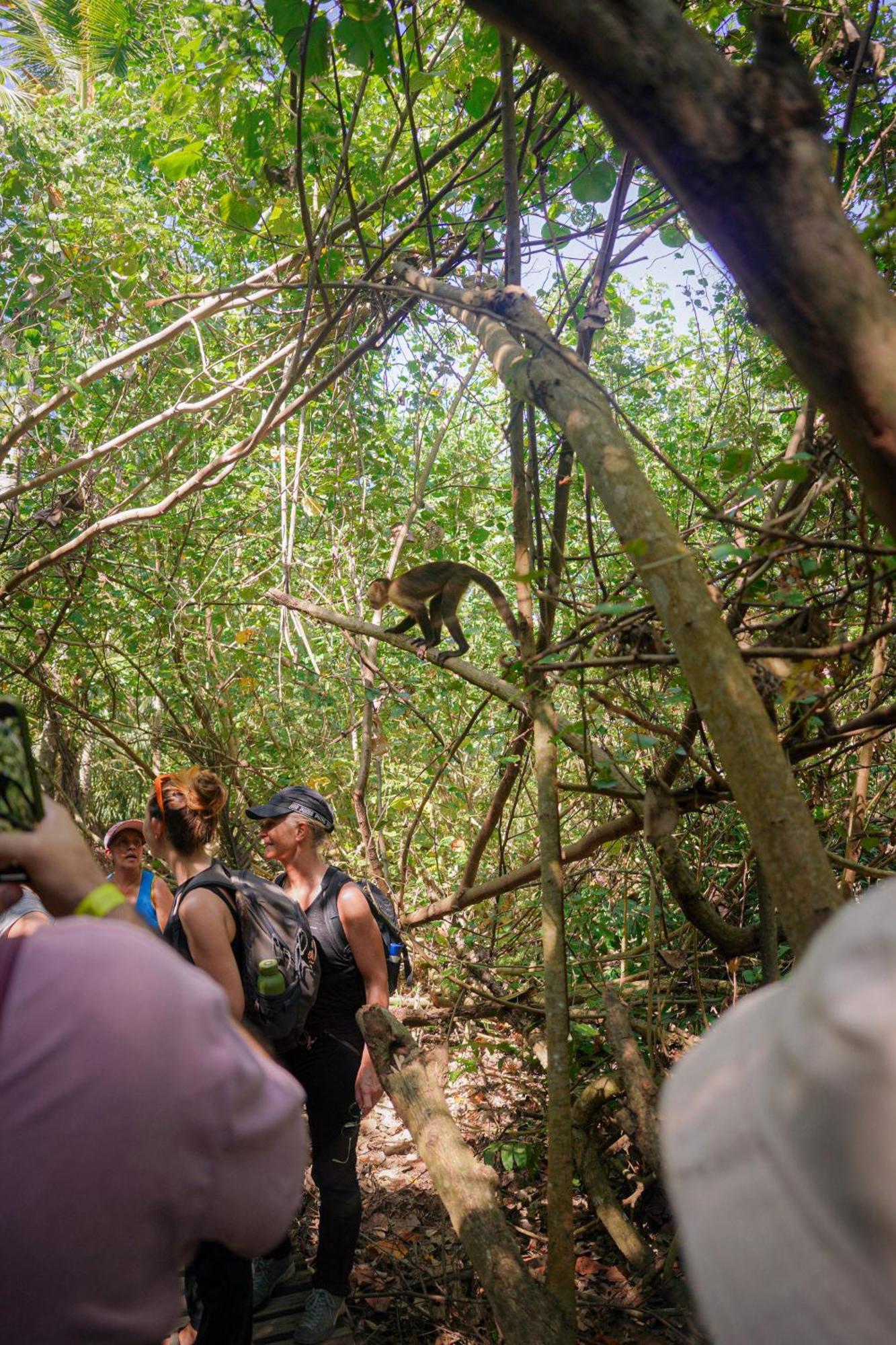 Ecohotel Yachay Tayrona Dentro Del Parque Tayrona เอลไซโน ภายนอก รูปภาพ
