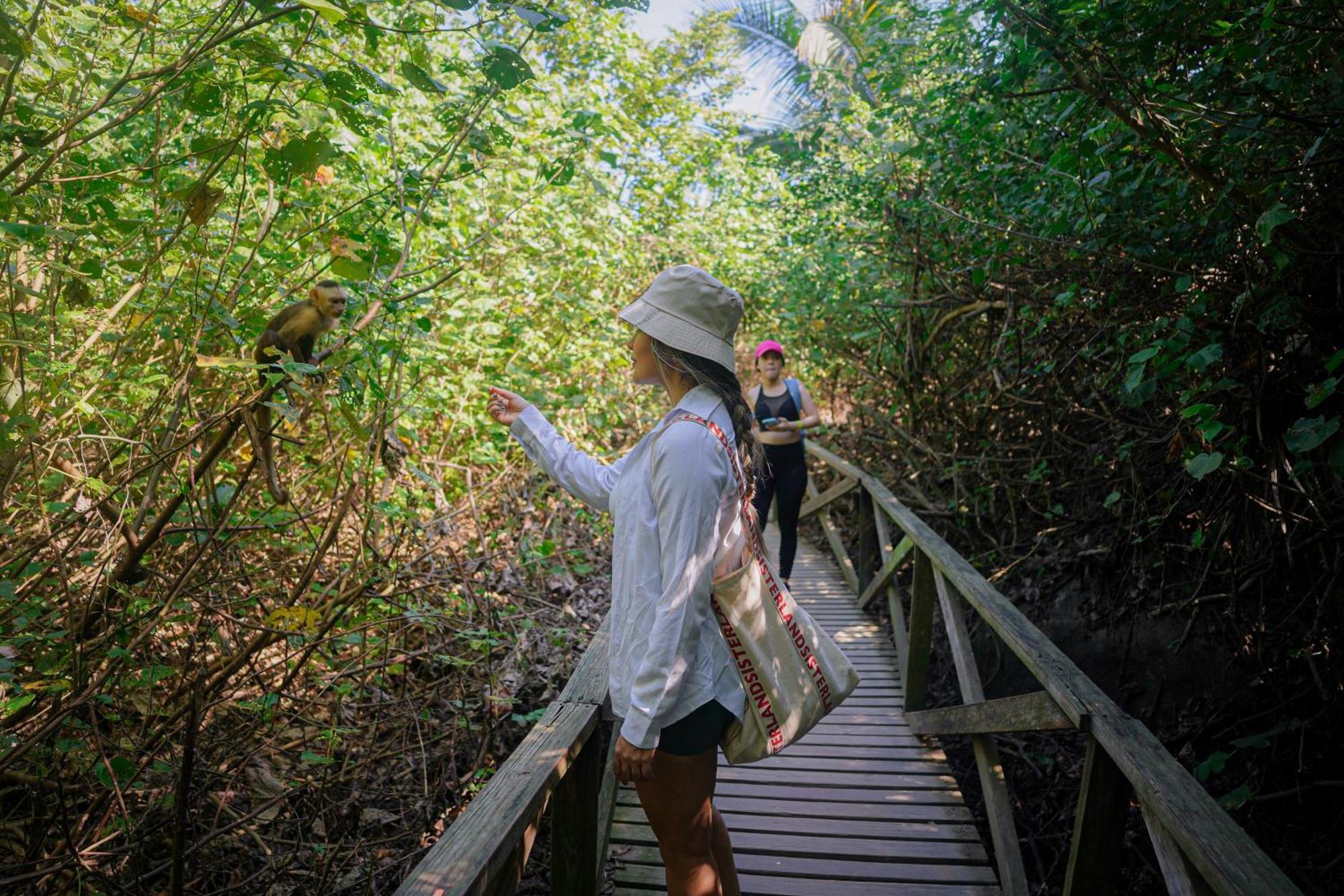 Ecohotel Yachay Tayrona Dentro Del Parque Tayrona เอลไซโน ภายนอก รูปภาพ