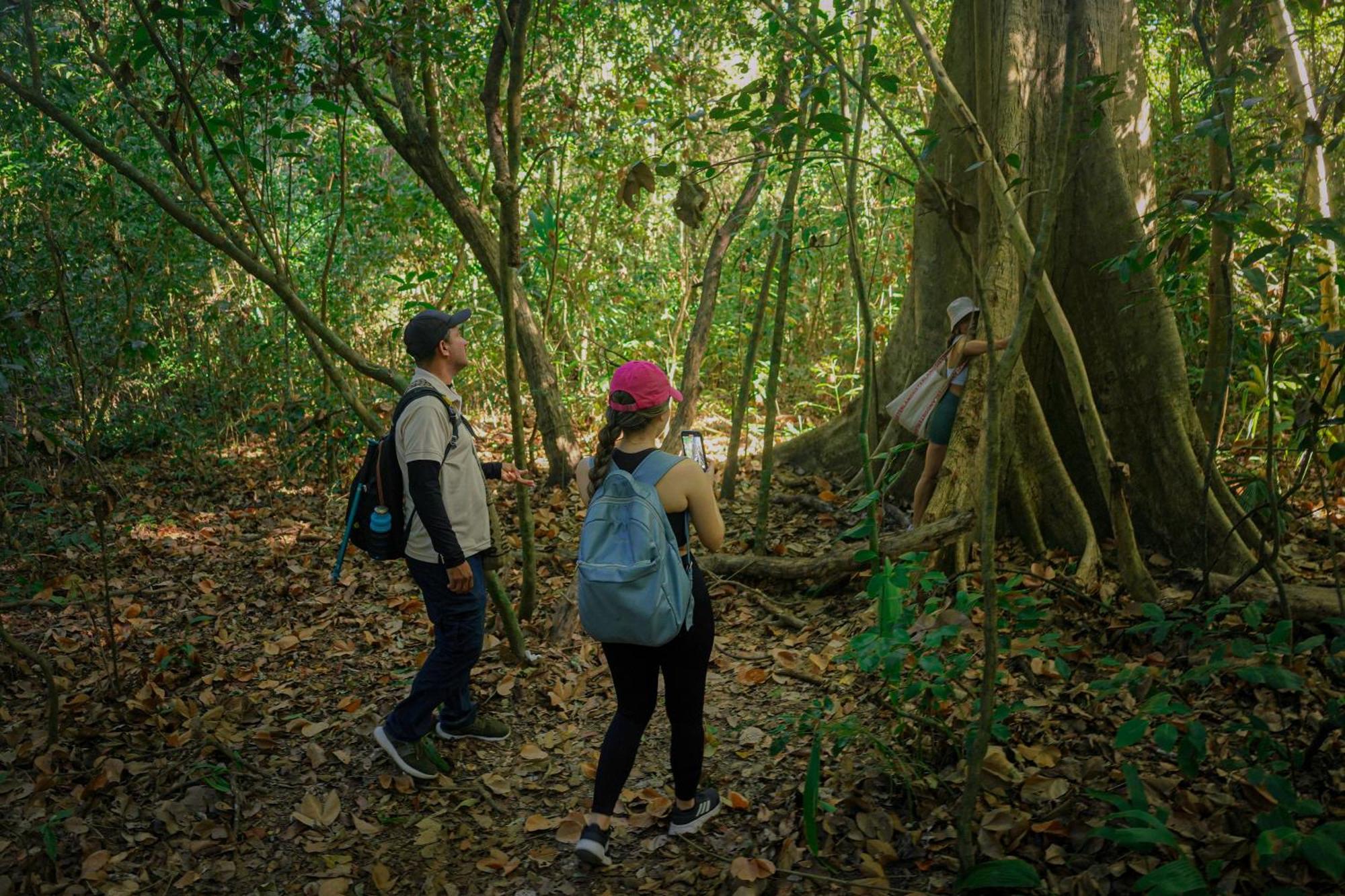 Ecohotel Yachay Tayrona Dentro Del Parque Tayrona เอลไซโน ภายนอก รูปภาพ