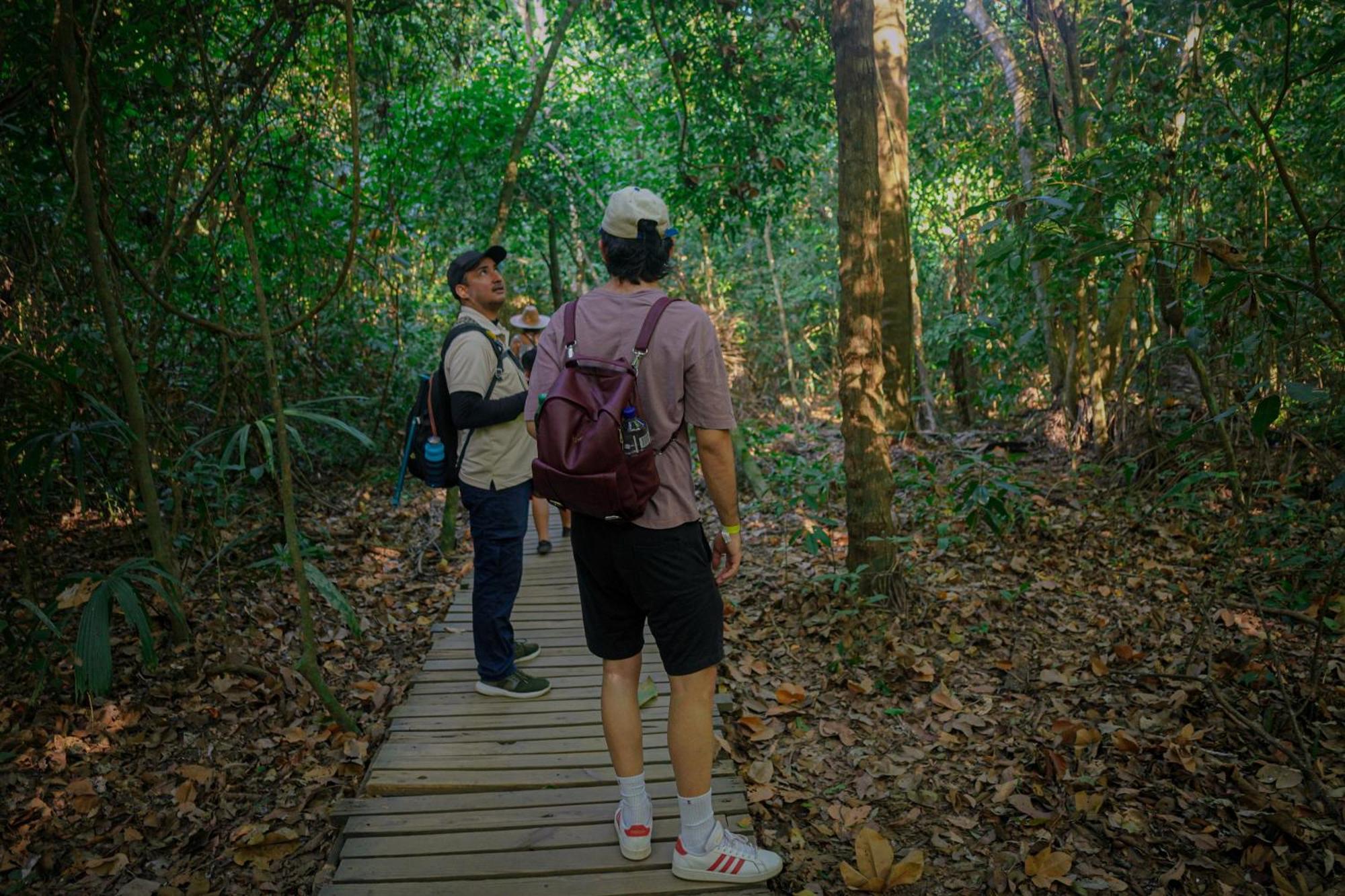 Ecohotel Yachay Tayrona Dentro Del Parque Tayrona เอลไซโน ภายนอก รูปภาพ