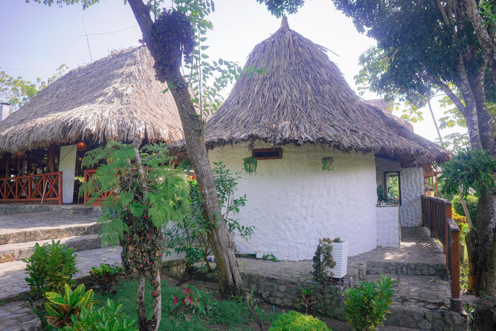 Ecohotel Yachay Tayrona Dentro Del Parque Tayrona เอลไซโน ภายนอก รูปภาพ