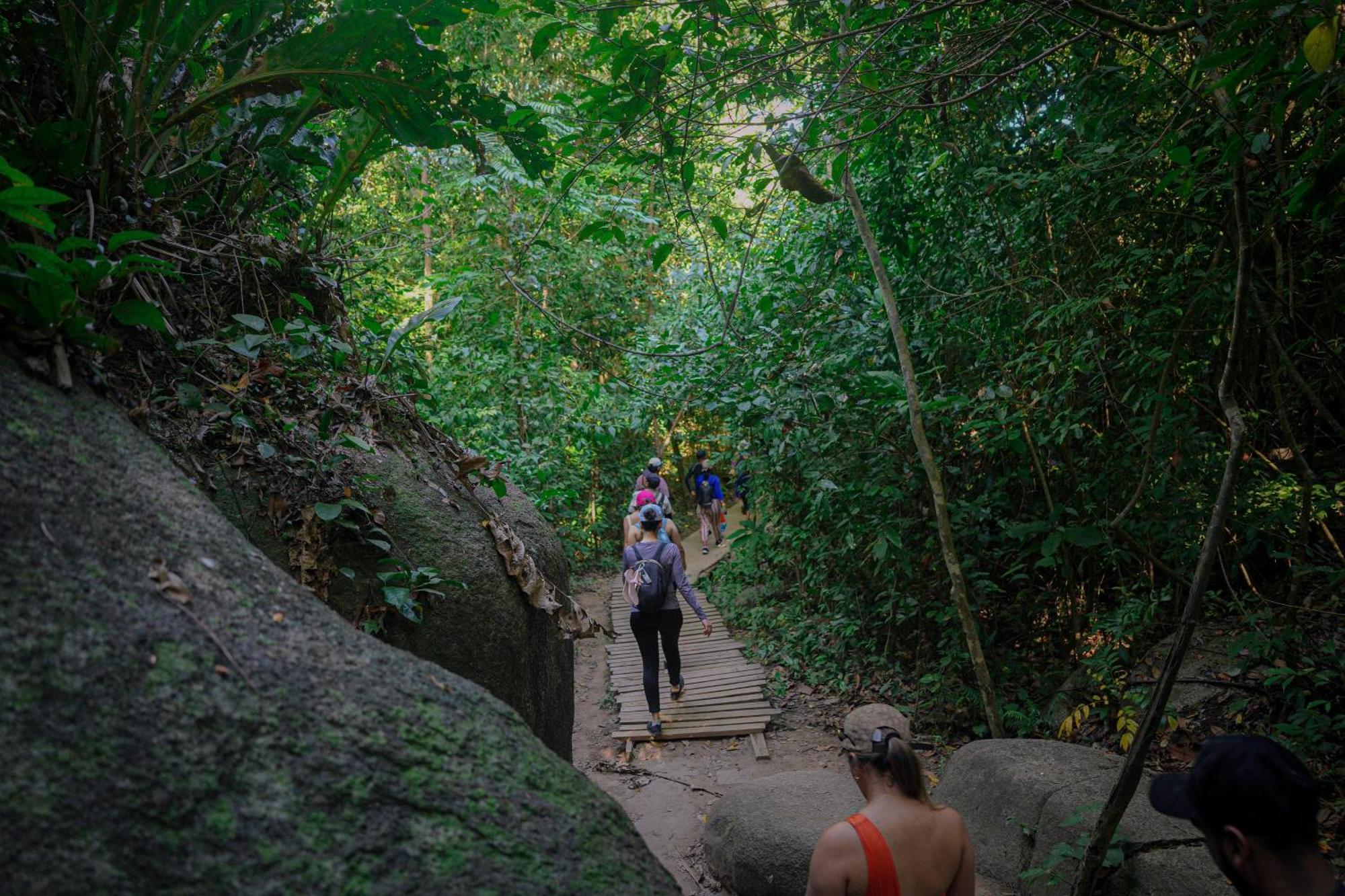 Ecohotel Yachay Tayrona Dentro Del Parque Tayrona เอลไซโน ภายนอก รูปภาพ