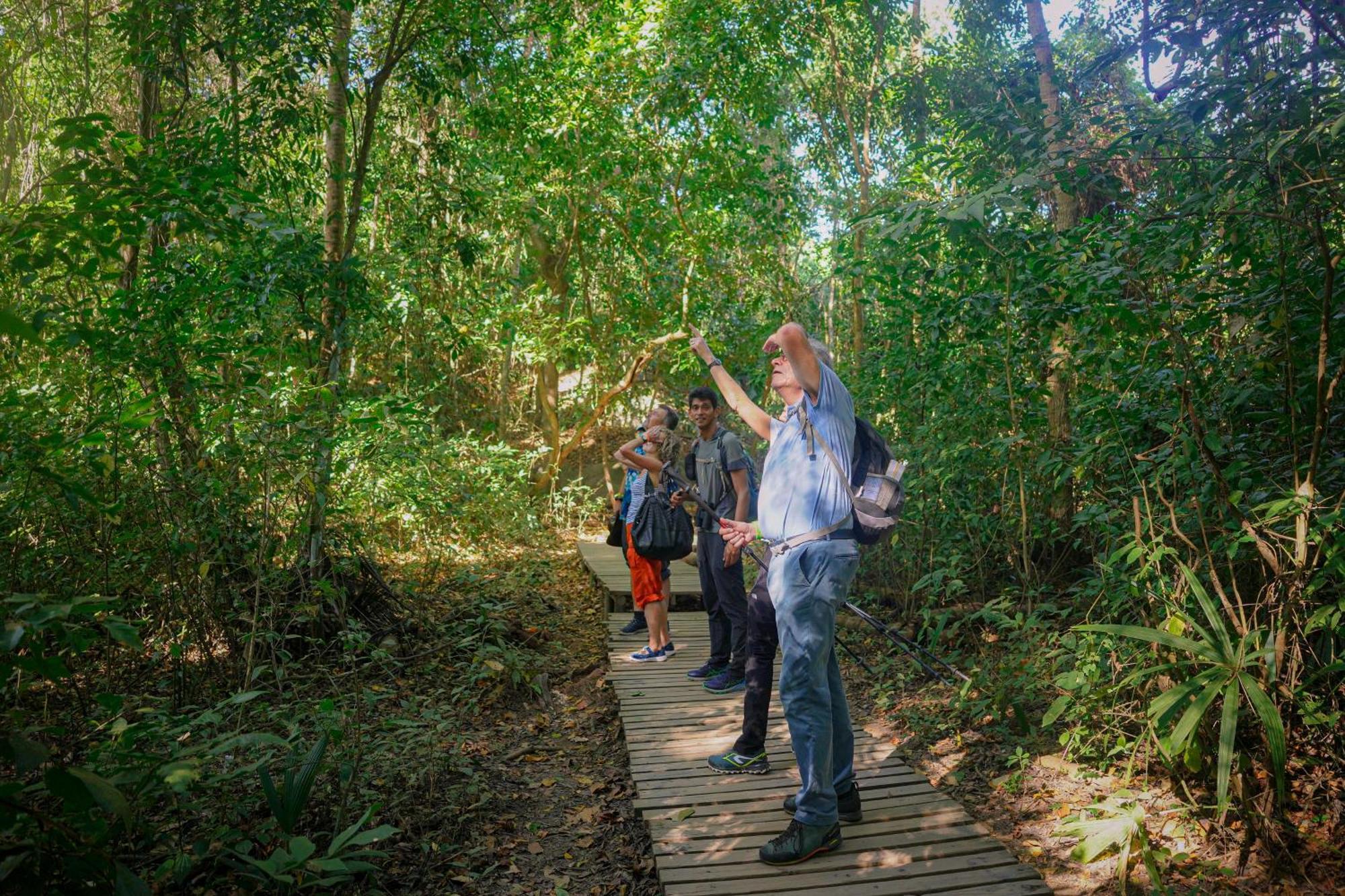Ecohotel Yachay Tayrona Dentro Del Parque Tayrona เอลไซโน ภายนอก รูปภาพ