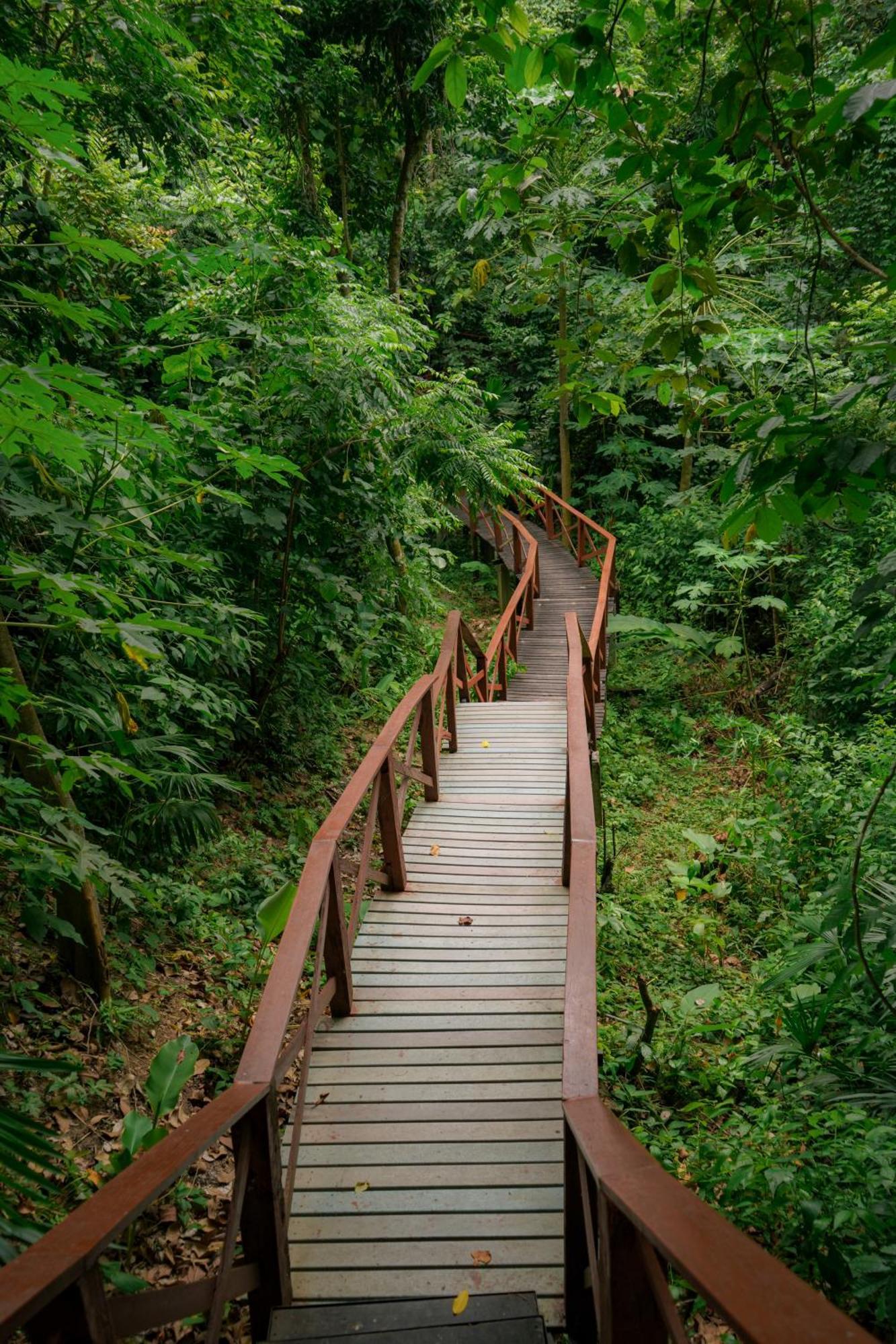 Ecohotel Yachay Tayrona Dentro Del Parque Tayrona เอลไซโน ภายนอก รูปภาพ