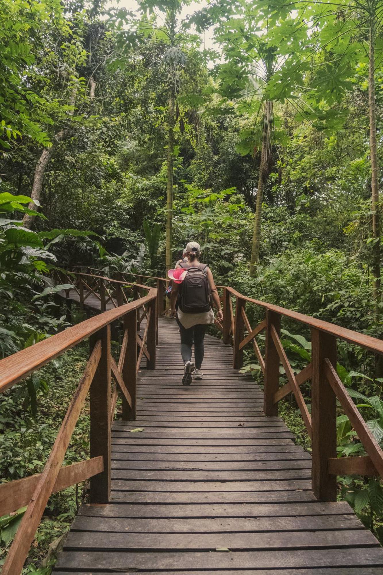 Ecohotel Yachay Tayrona Dentro Del Parque Tayrona เอลไซโน ภายนอก รูปภาพ